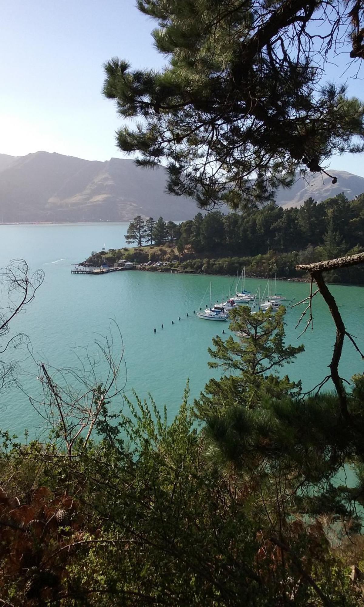 Magnolia Cottage Diamond Harbour ภายนอก รูปภาพ