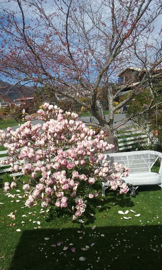 Magnolia Cottage Diamond Harbour ภายนอก รูปภาพ